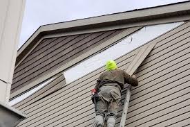 Best Siding Painting and Refinishing  in Duson, LA